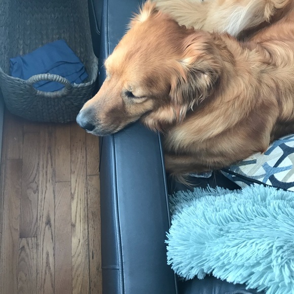 Meet your Posher, Michael - Picture 1 of 1